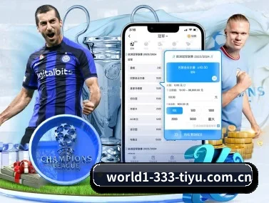 333体育官网入口 APP