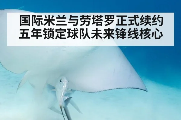国际米兰与劳塔罗正式续约五年锁定球队未来锋线核心