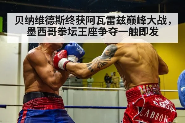 贝纳维德斯终获阿瓦雷兹巅峰大战,墨西哥拳坛王座争夺一触即发